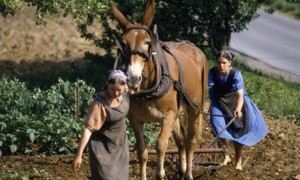 The Amish