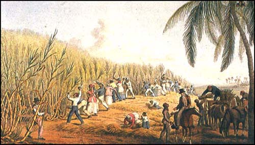 Essay on caribbean slavery history